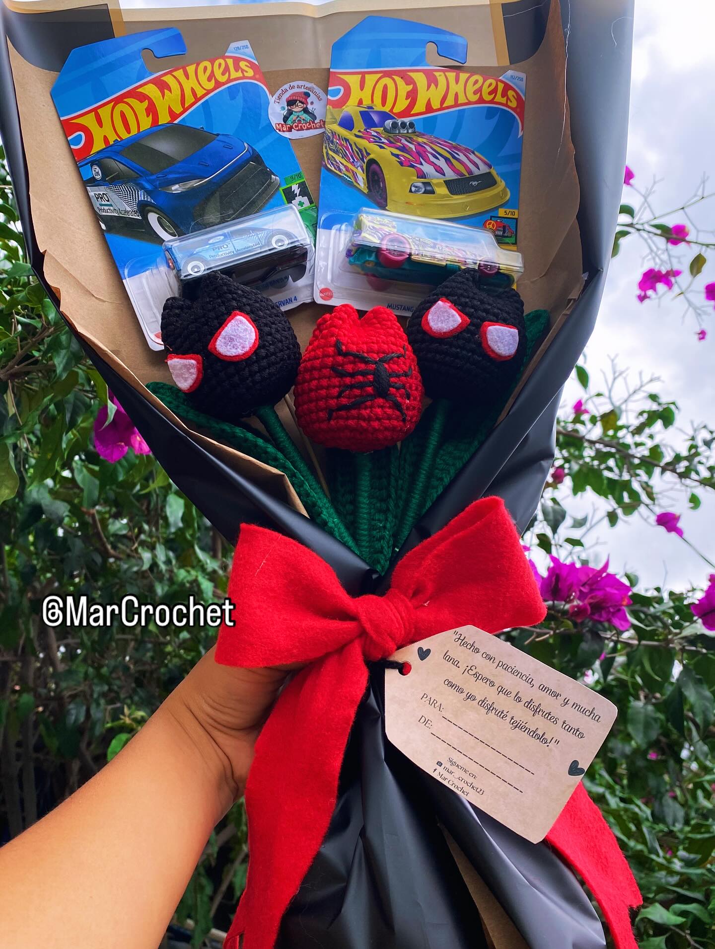 Proyectos especiales